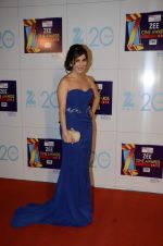 Sophie Chaudhary at Zee Awards red carpet in Mumbai on 6th Jan 2013,1 (54).JPG